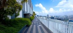 Blk 1D The Pinnacle@Duxton (Bukit Merah), HDB 4 Rooms #594561411